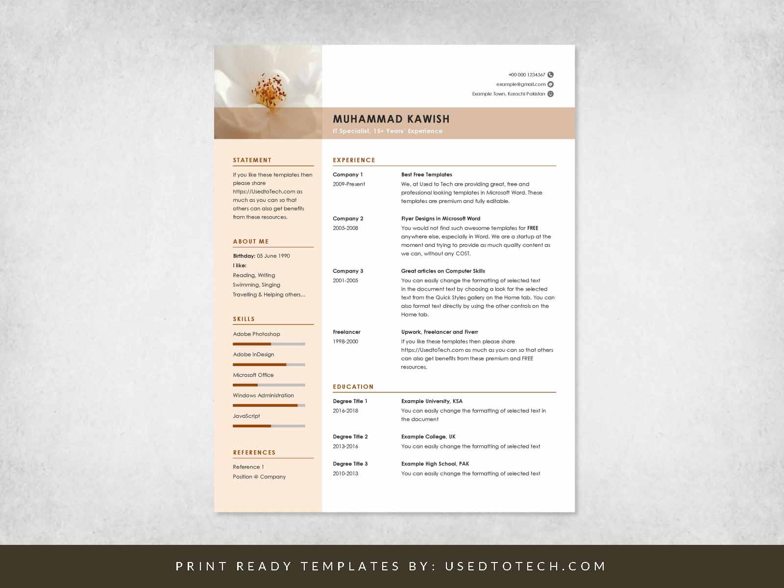 Clean and Minimalist CV in Word