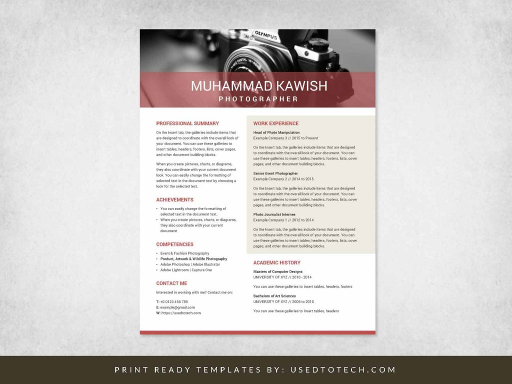 Editable Infographic Resume in Microsoft Word for Professionals