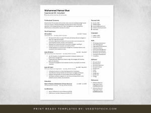 Free minimalist resume format in Word